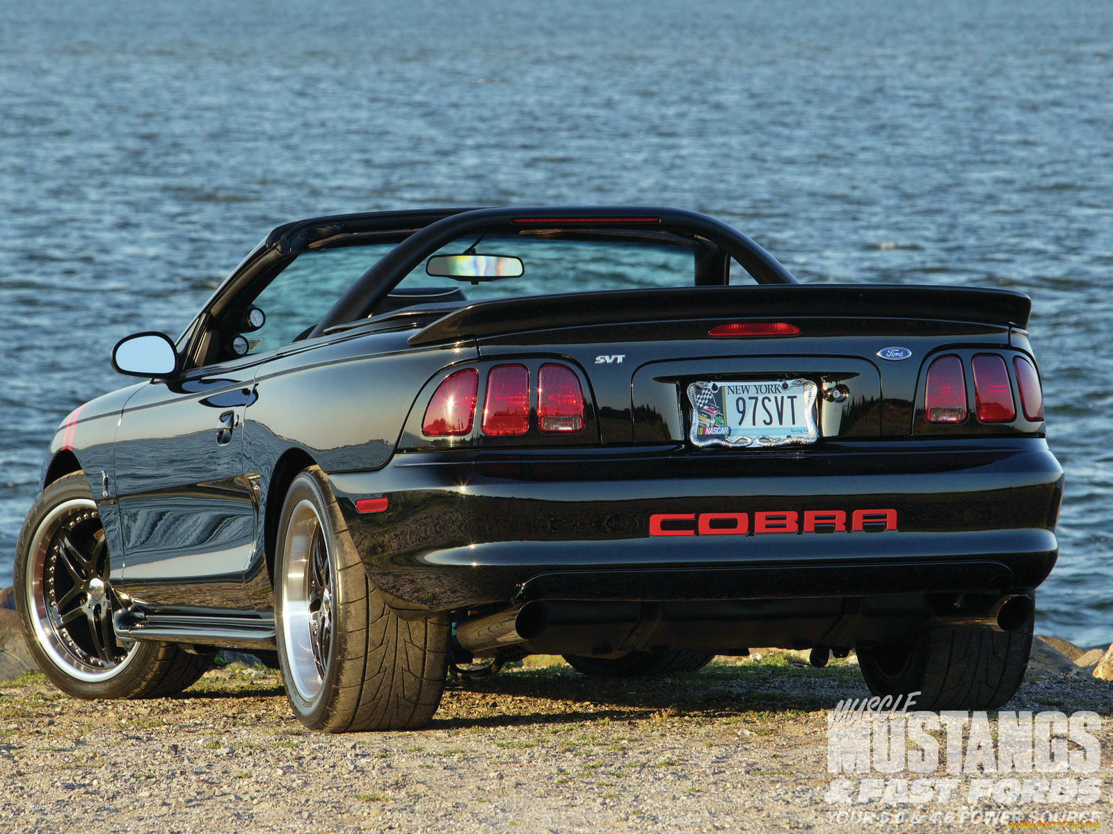 , mustang, cobra